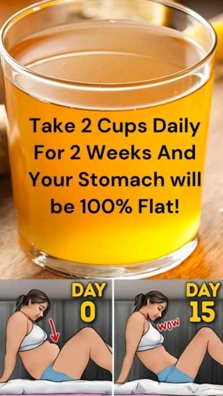 Strongest belly fat burner
