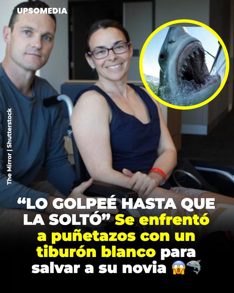 “Amor contra el océano: el día que desafió al depredador”