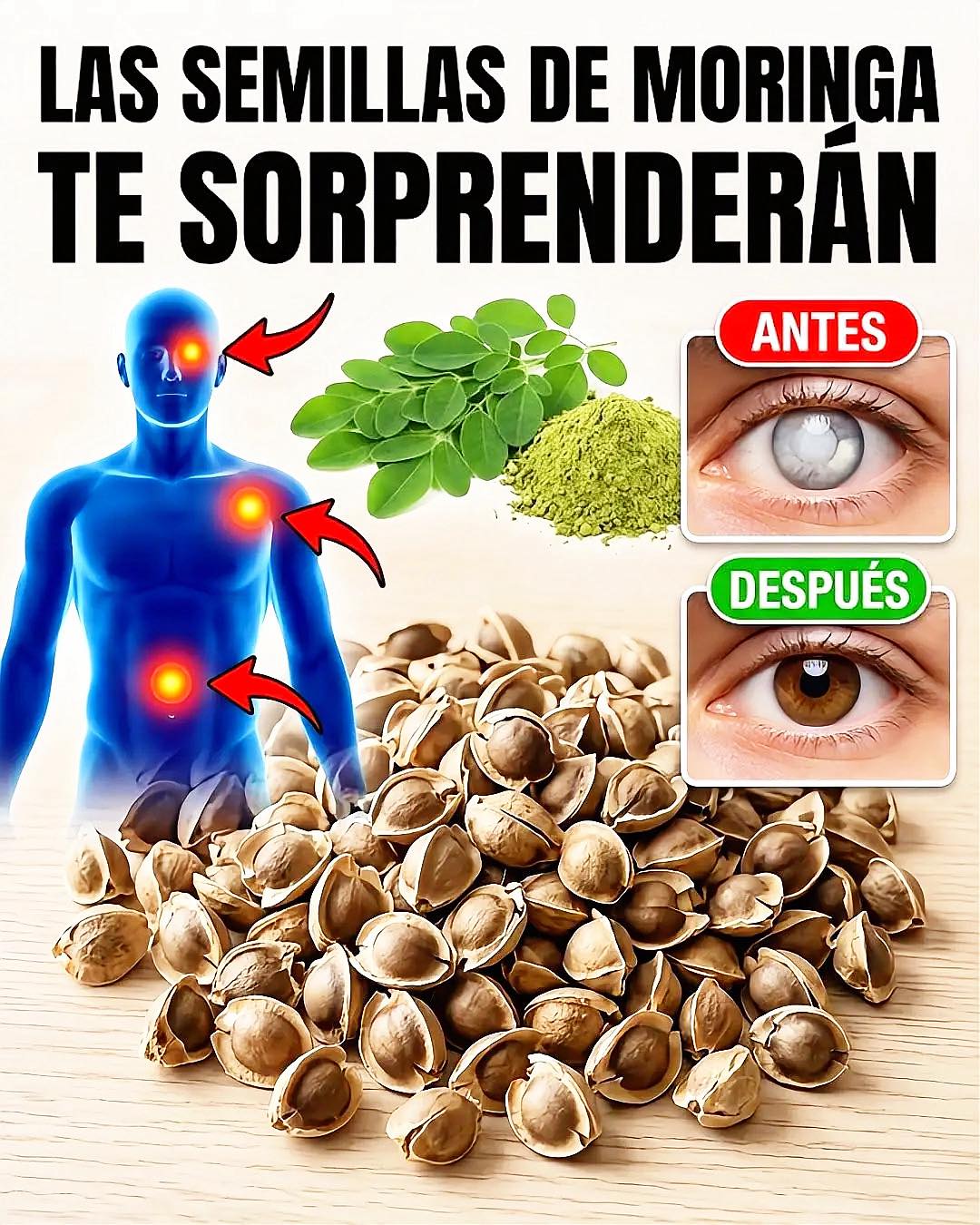 Recupera tu visión con estas 4 recetas naturales con moringa