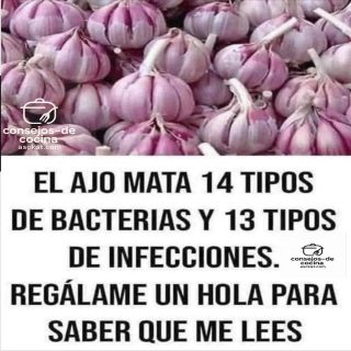 El Ajo: Un Antibiótico Natural para Combatir Bacterias e Infecciones