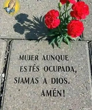 Mujer, aunque estés ocupada, nunca olvides orar a Dios desde lo más profundo de tu corazón…🫩