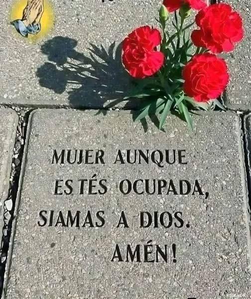 Mujer, aunque estés ocupada, nunca olvides orar a Dios desde lo más profundo de tu corazón…🫩
