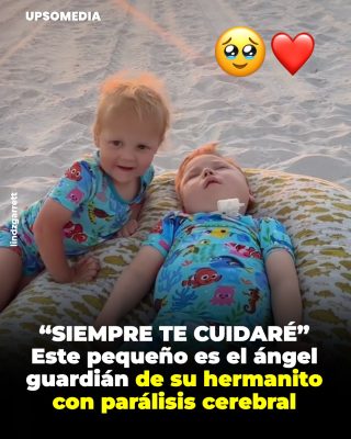 Un amor sin límites: la lección de dos hermanos que conmueve al mundo 💛