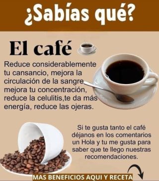 El increíble artículo sobre el café 🤯🤯😋 y sus variedades más famosas está en el primer comentario 👇🏻👇🏻