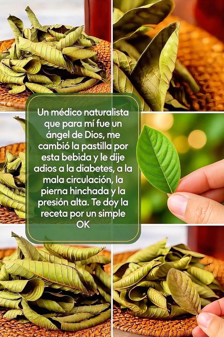 30 beneficios y 20 propiedades del té de hojas de guayaba que no conocías