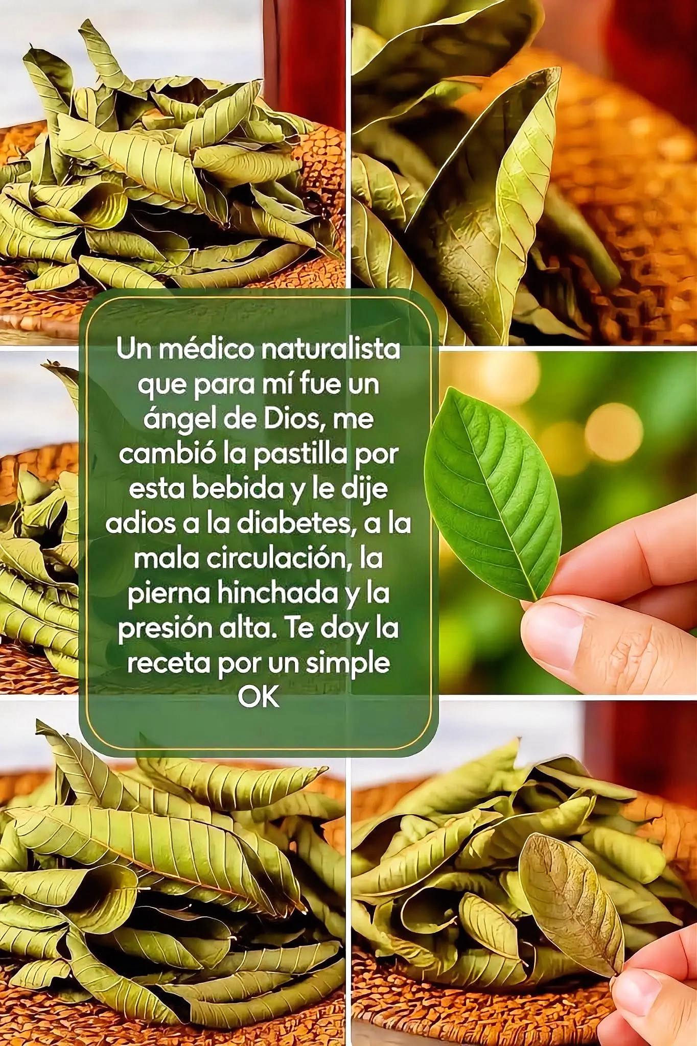 30 beneficios y 20 propiedades del té de hojas de guayaba que no conocías