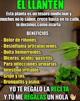 La planta más milagrosa de la tierra.