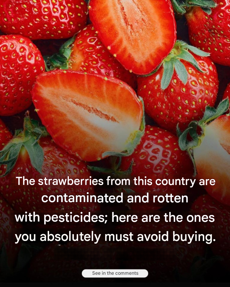 The strawberries from this country are absolutely to be avoided…See more