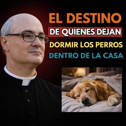 La presencia constante en los momentos de descanso El sacerdote que compartió esta reflexión explicó que el momento de la noche tiene un significado especial. Durante el descanso, el hogar entra en una etapa de silencio y tranquilidad. En ese contexto, la presencia del perro dentro de la casa —y especialmente cerca de las personas— puede interpretarse como una señal de confianza absoluta. El animal no busca solo calor o comodidad. En muchos casos, simplemente desea estar cerca de quienes considera su familia. Un símbolo de protección y compañía A lo largo de la historia, los perros han sido vistos como animales protectores. Incluso en muchas culturas antiguas se creía que tenían la capacidad de alertar sobre presencias extrañas o situaciones de peligro. Cuando un perro duerme dentro del hogar, su presencia puede generar una sensación de seguridad y calma. Desde una perspectiva espiritual, algunos interpretan esto como un recordatorio de que el hogar es un espacio de cuidado mutuo, donde cada miembro —humano o animal— cumple un papel importante.
